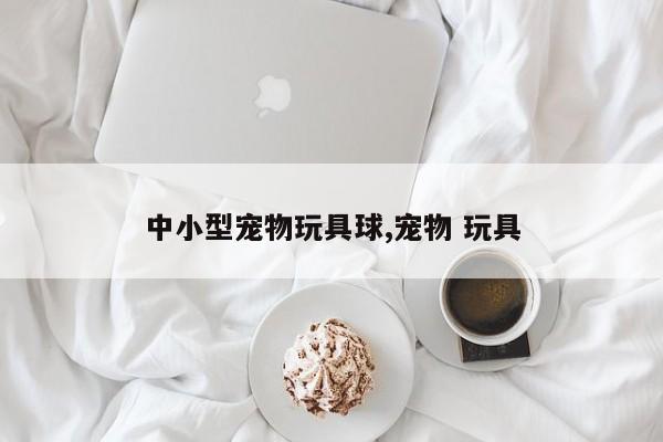 中小型宠物玩具球,宠物 玩具