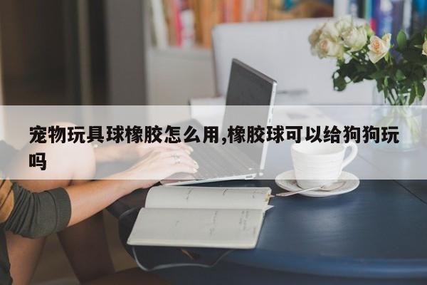 宠物玩具球橡胶怎么用,橡胶球可以给狗狗玩吗